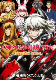 Аниме онлайн