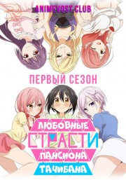 Аниме онлайн