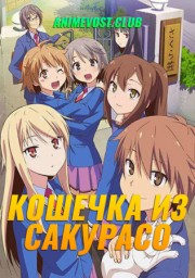Аниме онлайн
