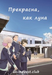 Аниме онлайн