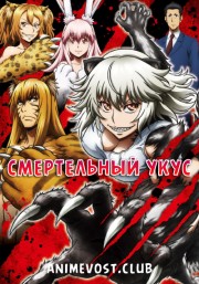 Аниме онлайн