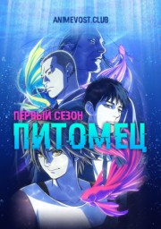 Аниме онлайн